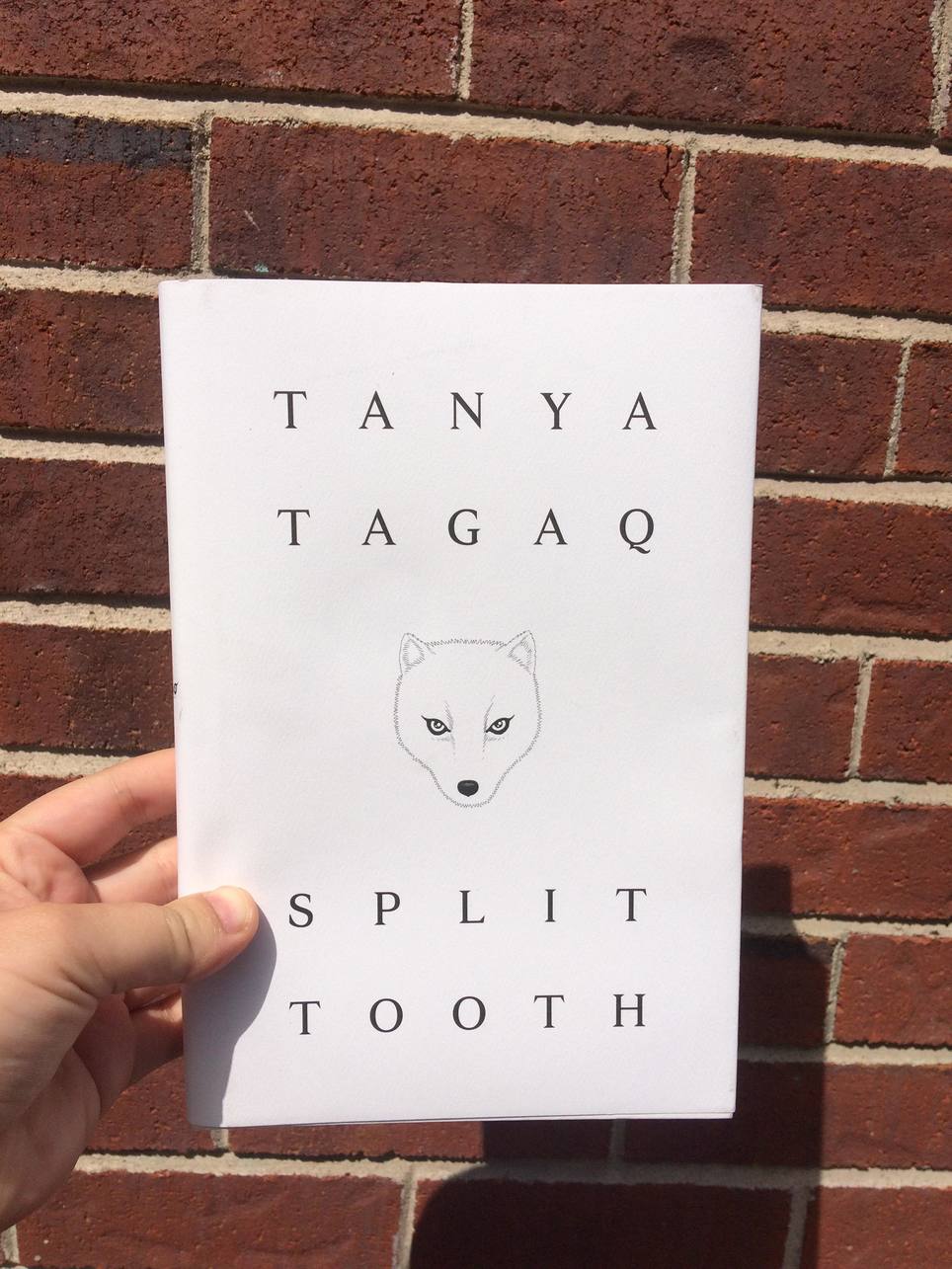 She's going to hell and she's strong enough to do it: The Indigenous Literatures Book Club reads Split Tooth