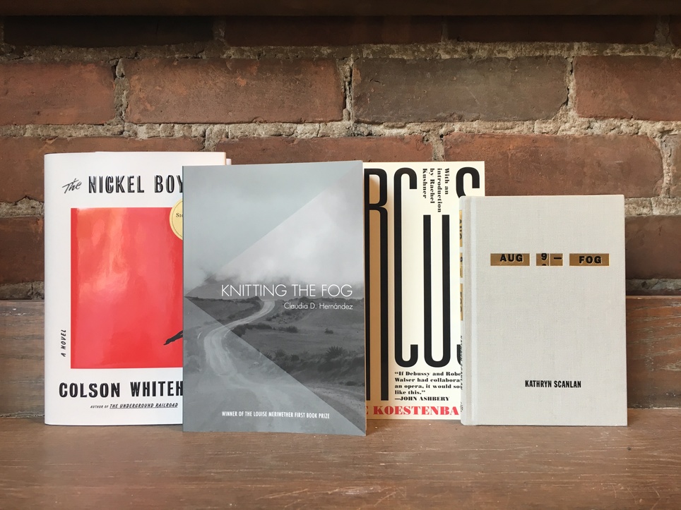 D+Q Picks of the Week: major novel alert, remixed diary, lots of fog, and more!