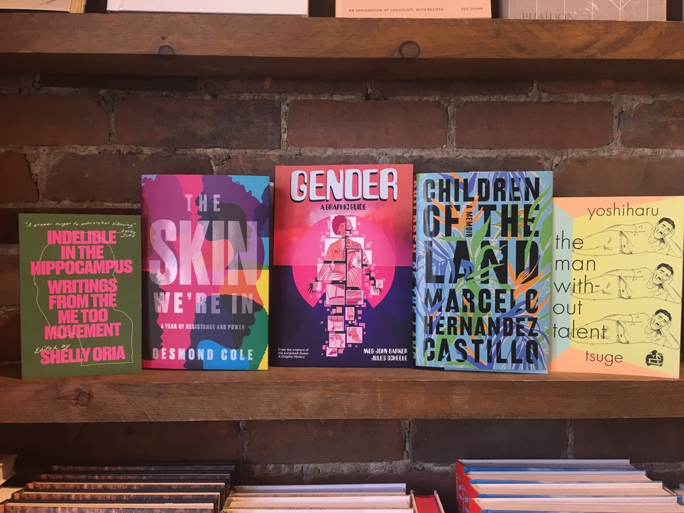D+Q Picks of the Week: The Skin We're In, Gender: A Graphic Guide, Children of the Land, & more!