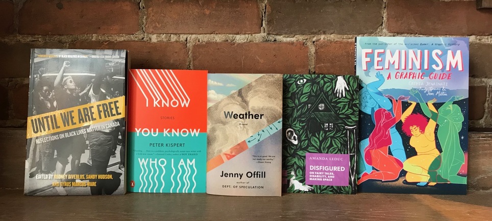 D+Q Picks of the Week: Until We Are Free, new Jenny Offill and more!
