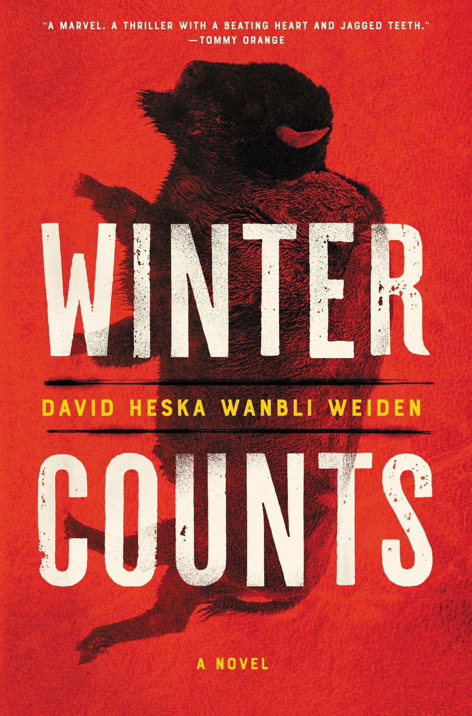 Indigenous Literatures Book Club - Winter Counts