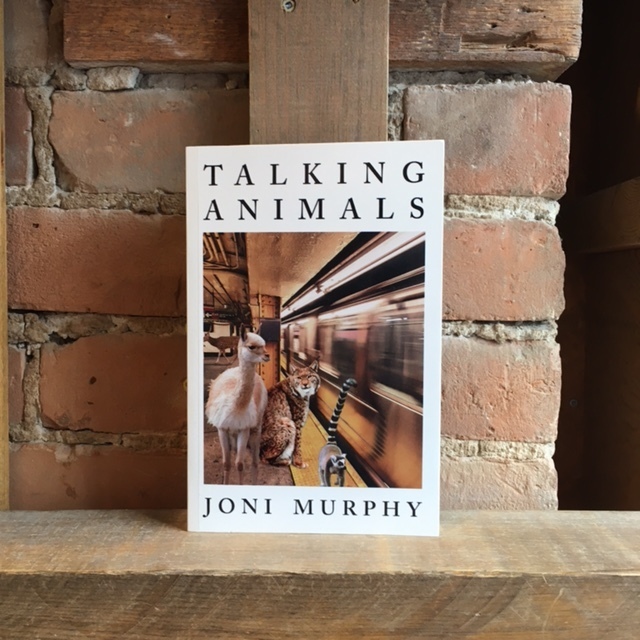 Full width 1605564528 joni murphy animals