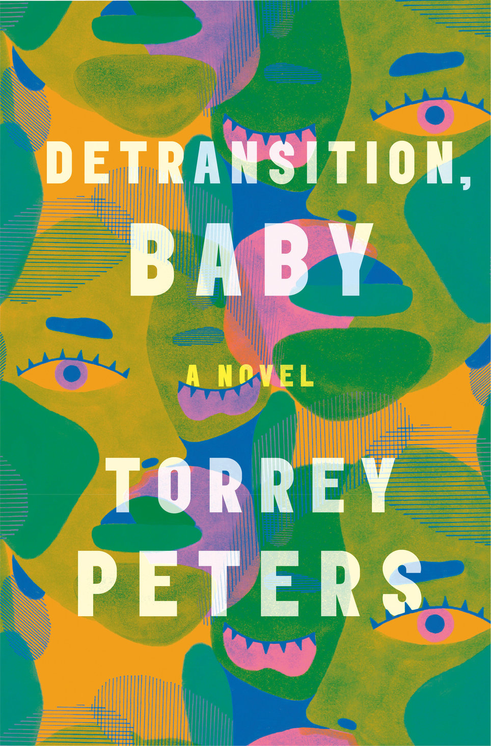 book review detransition baby