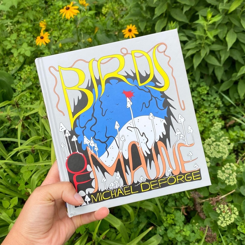 New D+Q: Birds of Maine by Michael DeForge