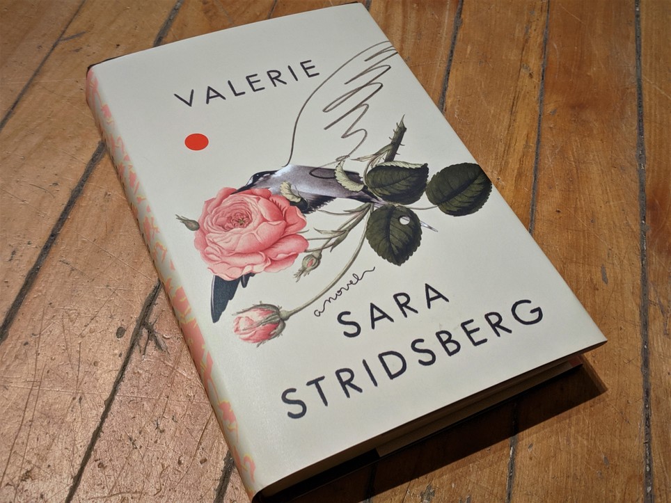 New Reads Book Club: Valerie: or, the Faculty of Dreams