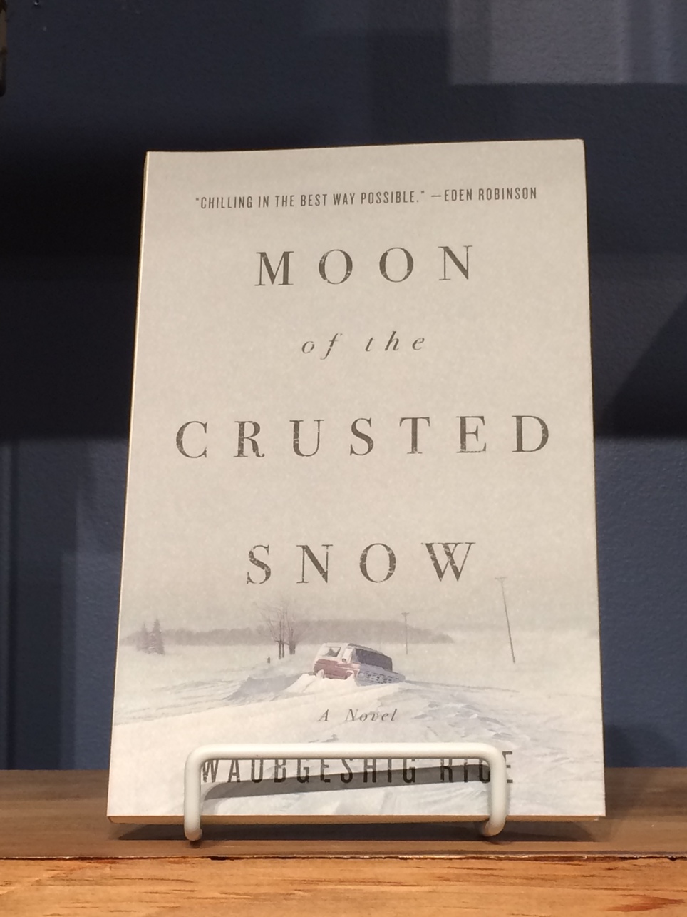 Strange Futures Book Club : Moon of the Crusted Snow by Waubgeshig Rice 