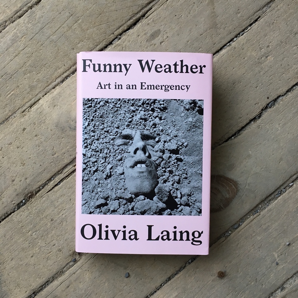Funny Weather: Art in an Emergency by Olivia Laing 