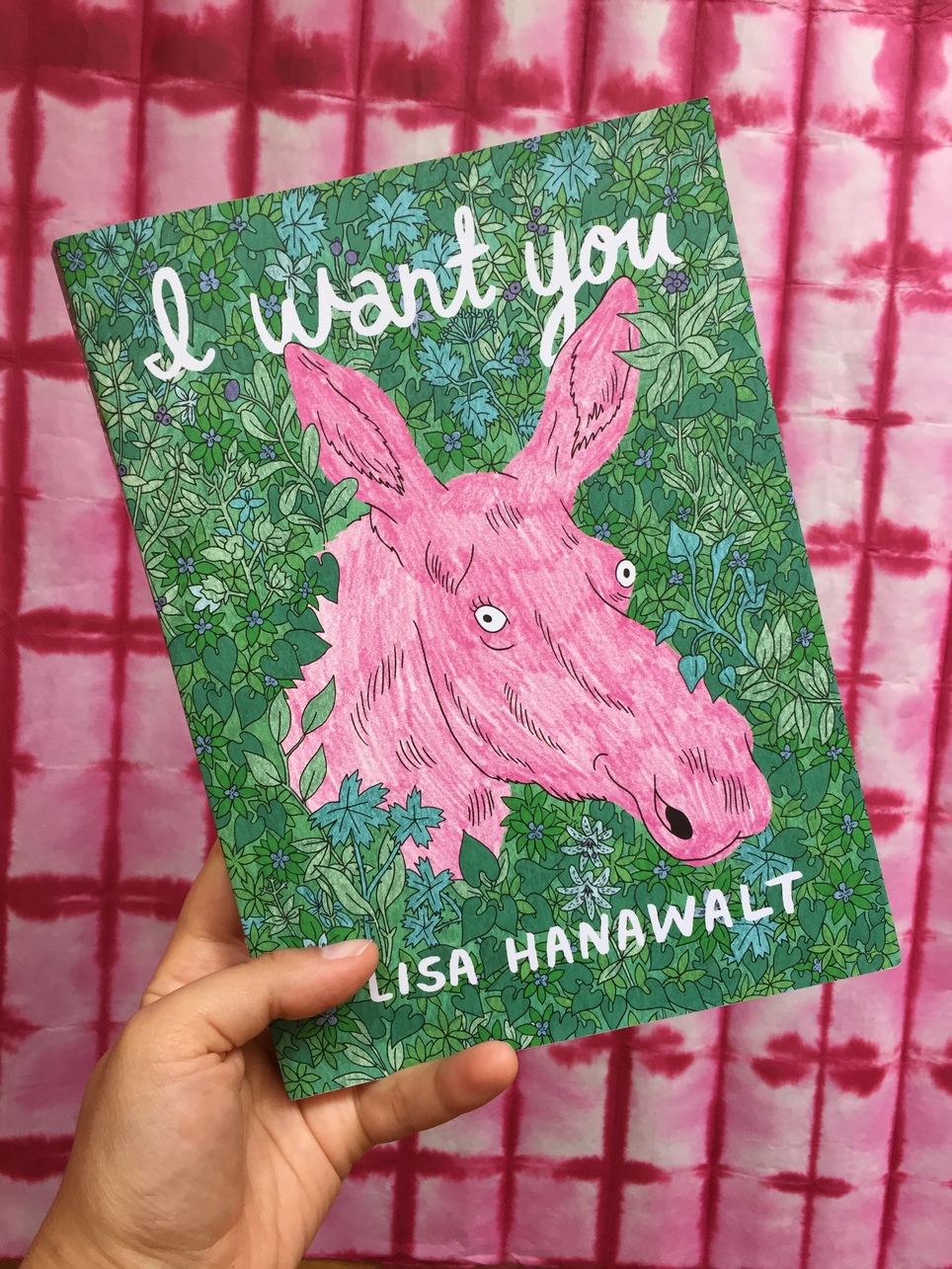 New D+Q: I Want You by Lisa Hanawalt